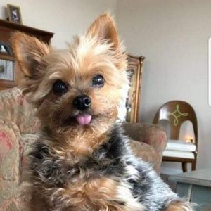 Meet your Posher, Steve